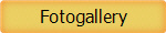 Fotogallery